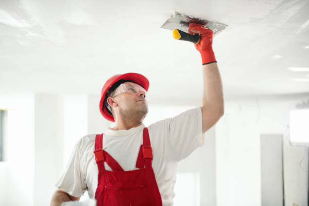 Best Residential Painting  in Curtice, OH