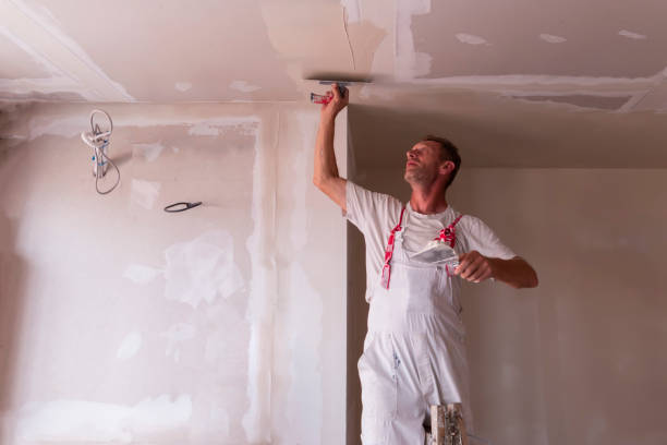 Best Drywall Installation  in Curtice, OH